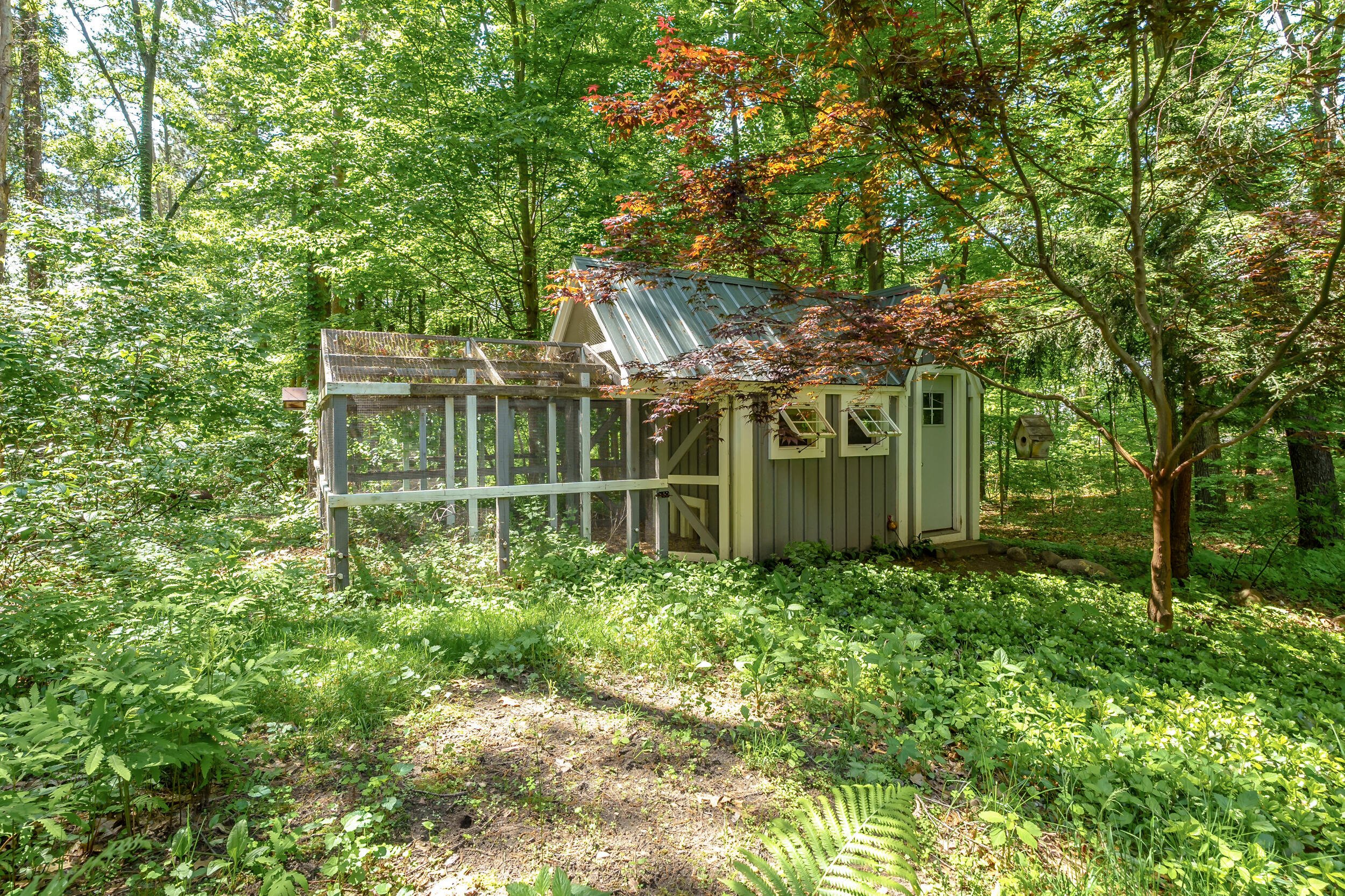 chicken coop-1